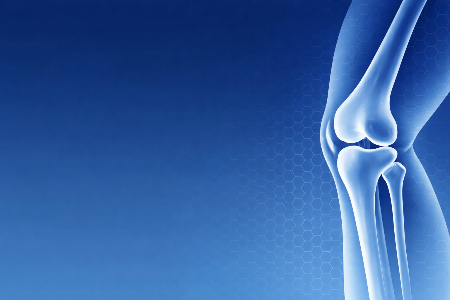 Medicina Ortobiológica